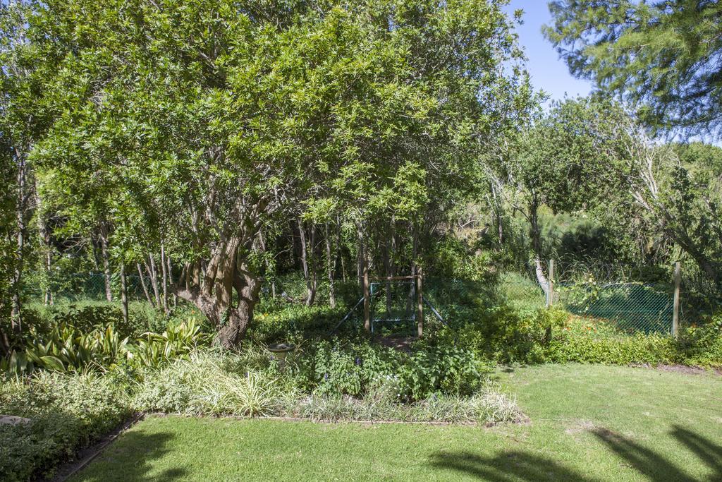 33 Strawberry Lane - Studio And Cottage Cidade Do Cabo Exterior foto