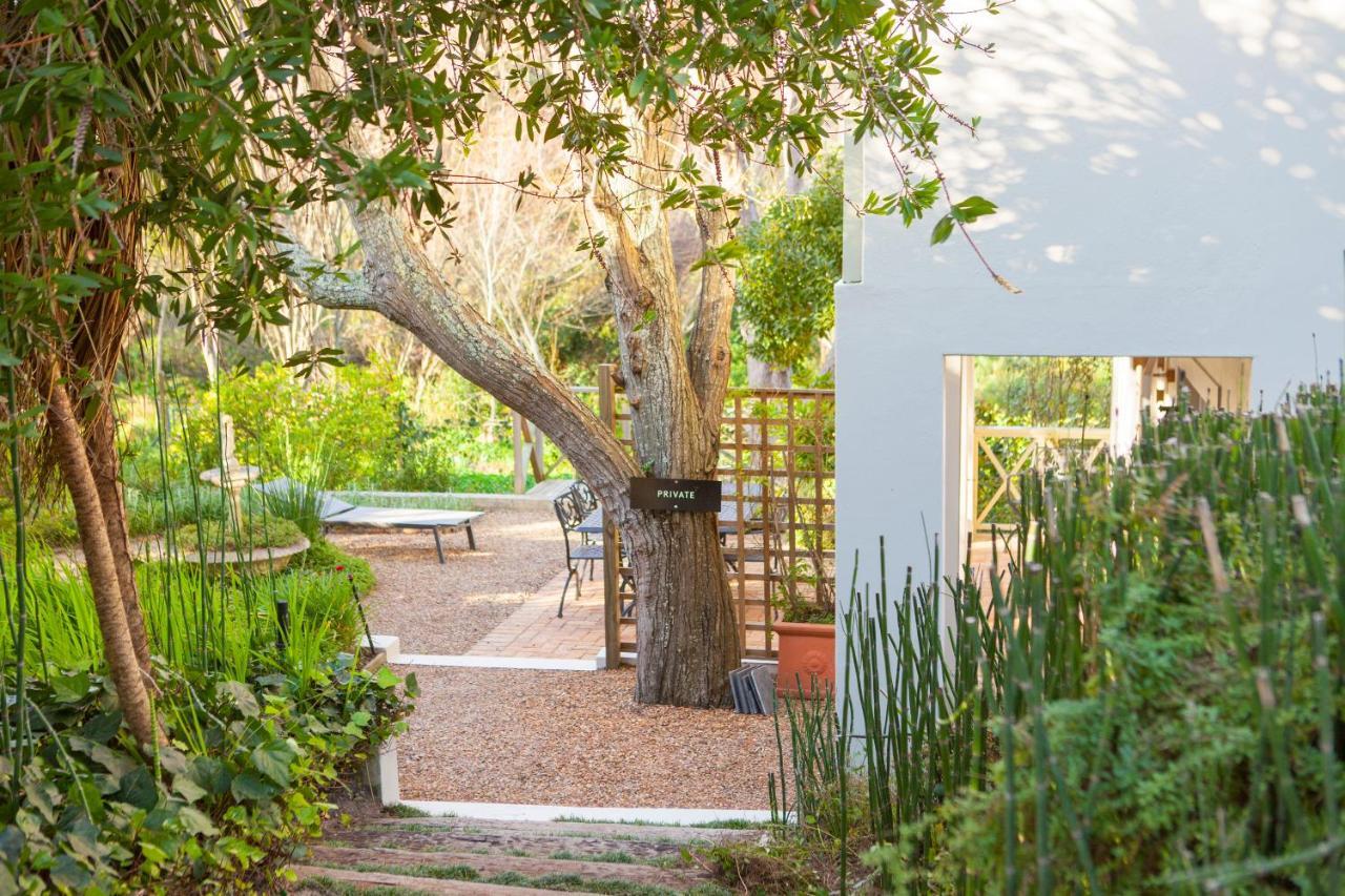 33 Strawberry Lane - Studio And Cottage Cidade Do Cabo Exterior foto