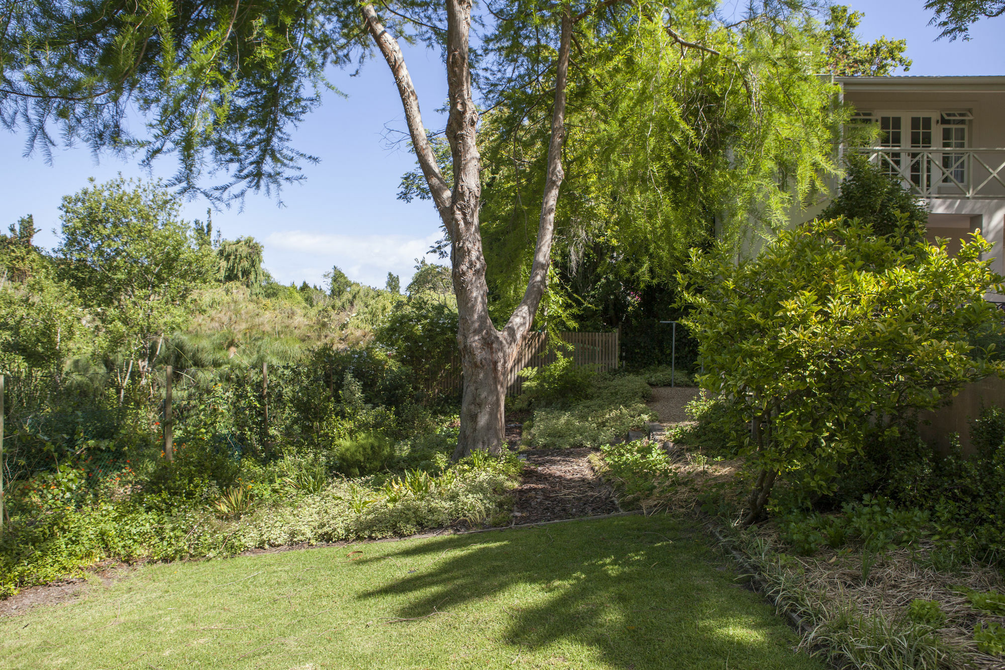 33 Strawberry Lane - Studio And Cottage Cidade Do Cabo Exterior foto